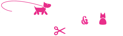 Dog Groomer in Poole