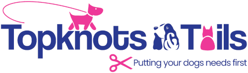 Dog Groomer in Poole